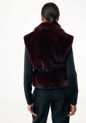  Dark Red